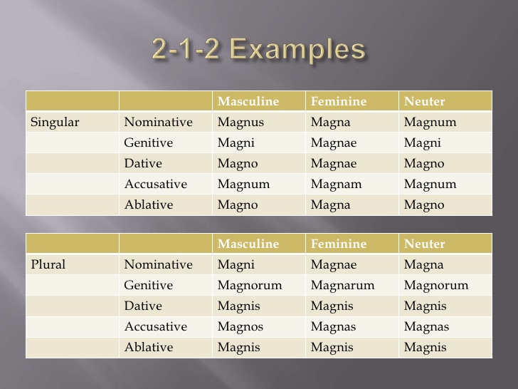 2-1-2-and-3rd-declension-adjectives-4-728