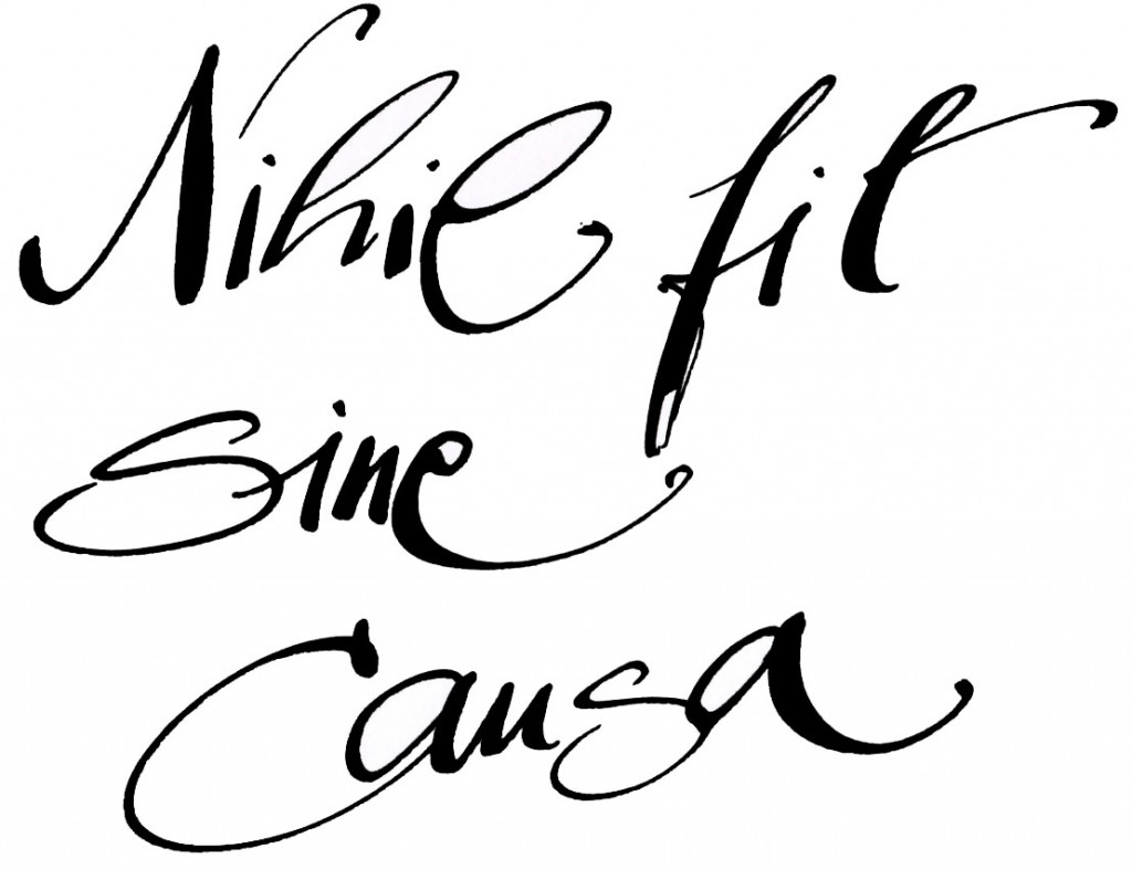 nihil_fit_sine_causa-03ret