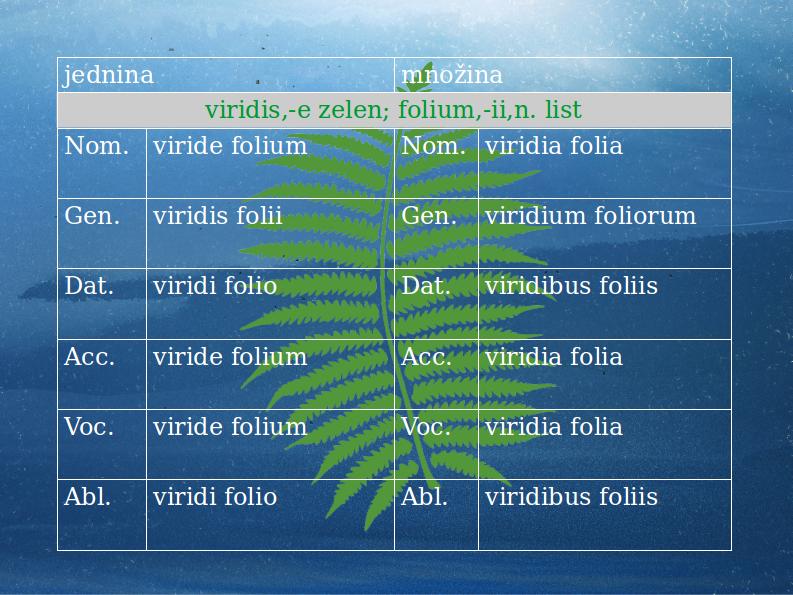 viridefolium