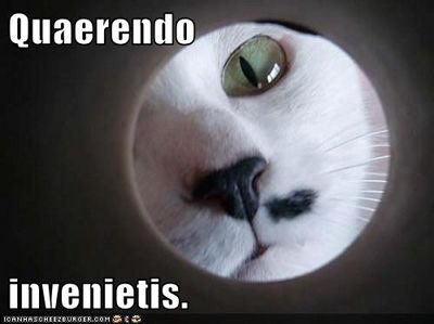 dyusllcw0aiwcbp